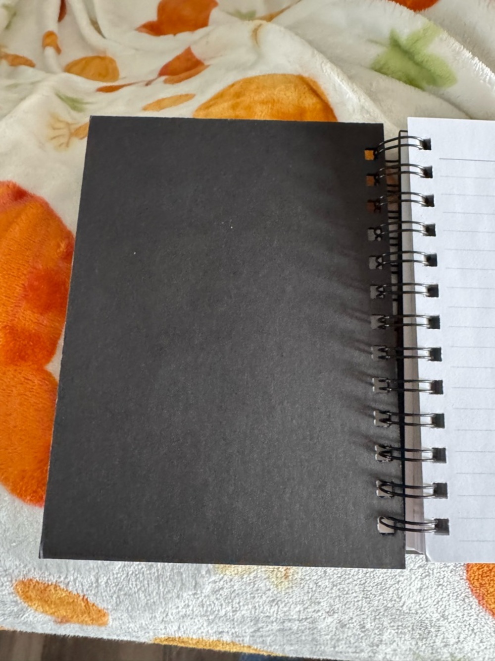 FedEx NFL Football-Texture Spiral Notebook - Brown- mini notebook, like new - Picture 3 of 6